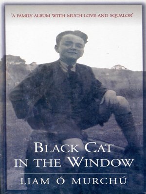 cover image of Black Cat in the Window